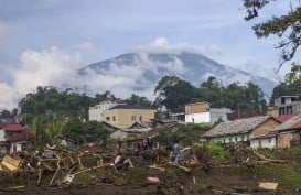 Ribuan Ekor Ternak Terdampak Banjir Bandang Lahar Dingin, Ini Kata Pemprov Sumbar