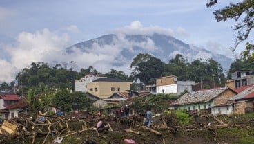 Ribuan Ekor Ternak Terdampak Banjir Bandang Lahar Dingin, Ini Kata Pemprov Sumbar