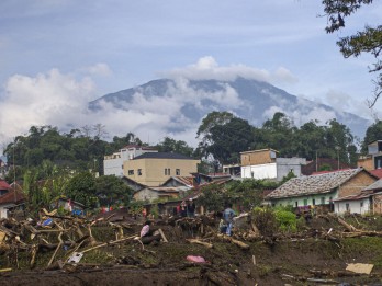 Ribuan Ekor Ternak Terdampak Banjir Bandang Lahar Dingin, Ini Kata Pemprov Sumbar