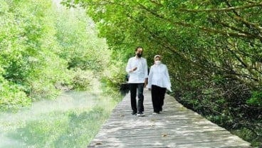 Indonesia-Uni Emirat Arab Bakal Bangun Pusat Riset Mangrove di Bali