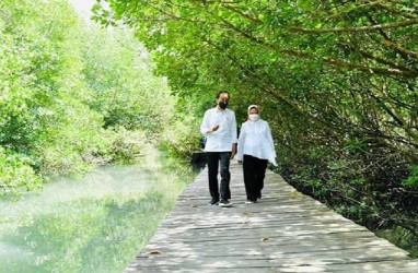 Indonesia-Uni Emirat Arab Bakal Bangun Pusat Riset Mangrove di Bali