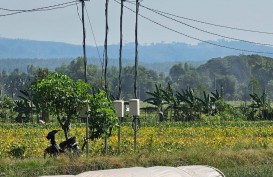 2.494 Petani di Nganjuk Akses Listrik PLN untuk Pertanian