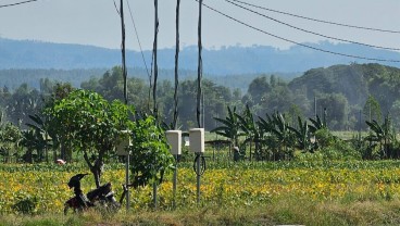 2.494 Petani di Nganjuk Akses Listrik PLN untuk Pertanian