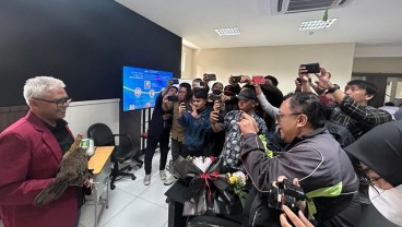 Dosen UMM Berhasil Kembangkan Ayam Kampung Super, ini Kemampuannya
