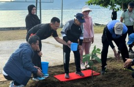 Momen Wapres Ma'ruf Amin Tanam Pohon Sukun saat Kunker ke Mamuju