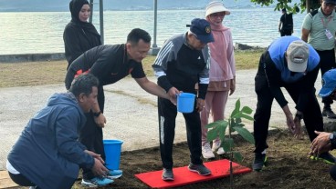 Momen Wapres Ma'ruf Amin Tanam Pohon Sukun saat Kunker ke Mamuju