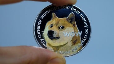 Kabosu, Anjing Shiba Inu Ikon Meme Global dan Dogecoin Mati saat Tidur