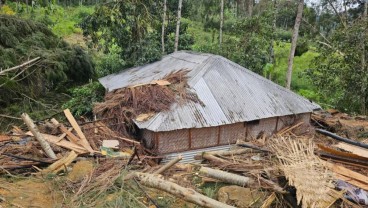 Fakta-fakta Bencana Tanah Longsor Dahsyat di Papua Nugini