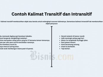 50 Contoh Kalimat Transitif dan Intransitif dan Perbedaannya