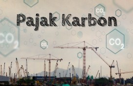 BEI Ungkap Kendala Perdagangan Karbon Perusahaan di Sumut