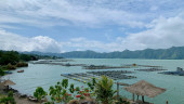 World Water Forum ke-10 & Ambisi RI Gagas Hari Danau Sedunia
