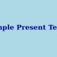 30 Contoh Kalimat Simple Present Tense dengan Rumus dan Artinya