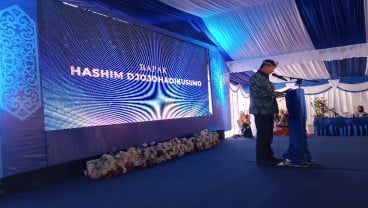 Bos Arsari Group Hashim Djojohadikusumo Incar Proyek Jumbo PLTA Kayan