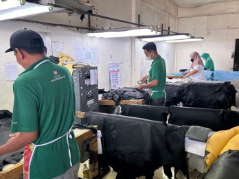 Mendunia dari Yogyakarta Lewat Industri Penyamakan Kulit