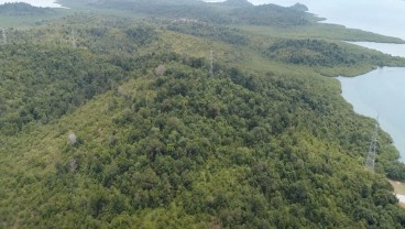 Pulau Tanjung Sauh di Batam Diresmikan Jadi KEK, Berikut Profil Singkatnya