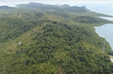 Pulau Tanjung Sauh di Batam Diresmikan Jadi KEK, Berikut Profil Singkatnya