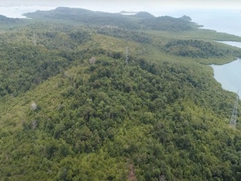 Pulau Tanjung Sauh di Batam Diresmikan Jadi KEK, Berikut Profil Singkatnya