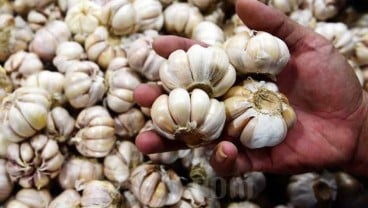 Bapanas Ungkap Modus Nakal Jual Beli Kuota Impor Bawang Putih