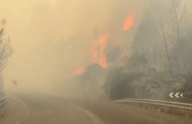 Israel Dilanda Kebakaran Hebat Imbas Serangan Roket dan Drone Hizbullah