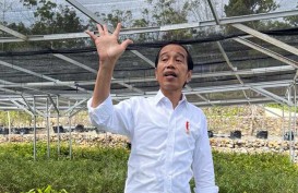 Jokowi Pamer Persemaian Mentawir, Proyek Penghijauan IKN Berbiaya Rp339 Miliar