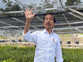 Jokowi Pamer Persemaian Mentawir, Proyek Penghijauan IKN Berbiaya Rp339 Miliar