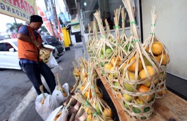 Jepang Minta 1.200 Ton Mangga Gedong Gincu per Tahun, Ini Skema Pemenuhan dari Pemkab Sumedang