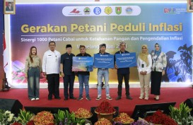 1.360 Petani Cabai di Magelang Ambil Peran Jaga Inflasi Pangan