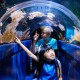 Mau Liburan ke SEA LIFE Melbourne Aquarium? Cek Panduannya di Sini!