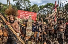 Viral "All Eyes on Papua" dan Karut-marut Tata Kelola Sawit RI