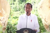 Jokowi Promosikan Tanah IKN sebagai Investasi: Per Meter Rp400 Ribu, Besok Berubah