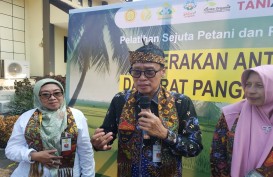 Kementan Optimistis Kekurangan Pasokan Beras 3,5 Juta Ton Terpenuhi Tahun Ini