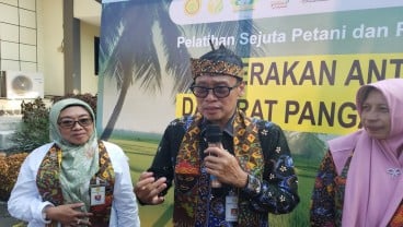 Kementan Optimistis Kekurangan Pasokan Beras 3,5 Juta Ton Terpenuhi Tahun Ini