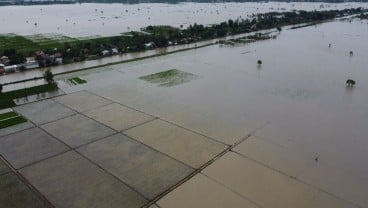 Ini Dampak Paling Buruk Bagi Petani saat La Nina Datangi Indonesia