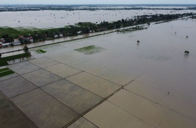 Ini Dampak Paling Buruk Bagi Petani saat La Nina Datangi Indonesia