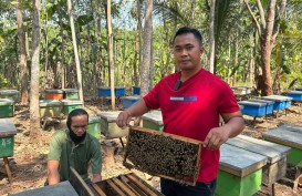 Jamkrindo Angkat Bicara Soal Temuan BPK Soal Kekurangan IJP KUR