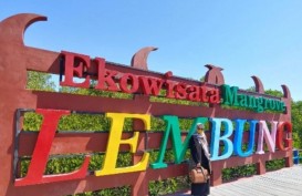 Pesisir Pamekasan Jadi Destinasi Wisata Mangrove