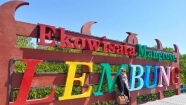 Pesisir Pamekasan Jadi Destinasi Wisata Mangrove