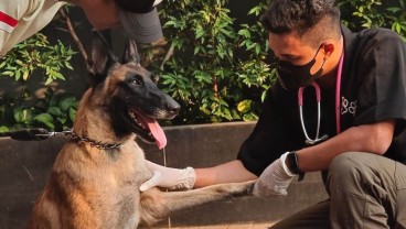 9 Fakta Terbaru Satpam Plaza Indonesia Pukul Anjing, Banjir Plot Twist!