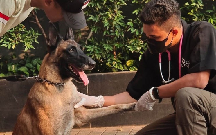 Fay viral usai tindakan satpam pukul anjing di Plaza Indonesia. -  Dok. Instagram Plaza Indonesia