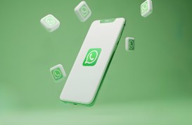 WhatsApp Uji Coba Fitur Baru Ranked Status Updates, Apa Itu?