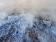 Ilmuwan Temukan Virus Raksasa di Greenland, Diklaim Berdampak Perbaiki Perubahan Iklim