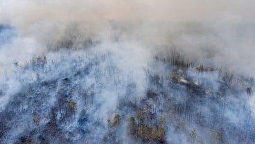 Ilmuwan Temukan Virus Raksasa di Greenland, Diklaim Berdampak Perbaiki Perubahan Iklim