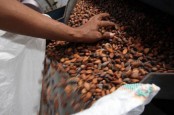 Ada Kabar Buruk dari Ghana, Harga Cokelat Bakal Makin Mahal?