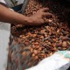 Ada Kabar Buruk dari Ghana, Harga Cokelat Bakal Makin Mahal?