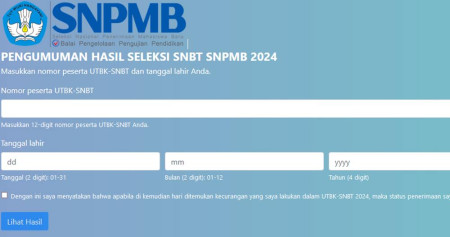 Ini Link Lengkap Hasil Pengumuman SNBT 2024/Kemdikbud