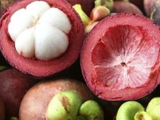 Manfaat Manggis untuk Ibu Hamil, Bisa Atasi Sembelit dan Obesitas