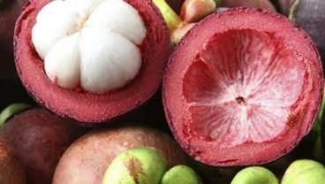 Manfaat Manggis untuk Ibu Hamil, Bisa Atasi Sembelit dan Obesitas