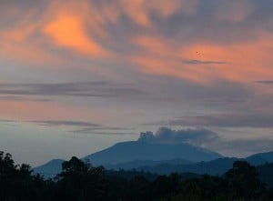 Aktivitas Vulkanik Gunung Marapi di Sumatra Barat Kembali Meningkat