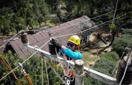 Amankan Listrik Selama Idul Adha 1445 H, PLN Tetapkan Masa Siaga