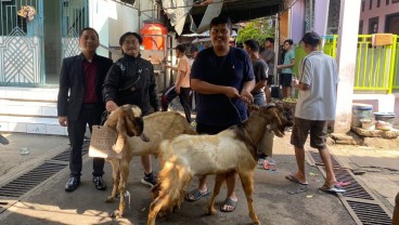 Gets Hotel Semarang Donasi 4 Ekor Kambing Kurban